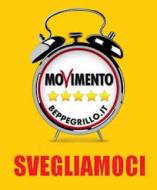 Grillini: dal dire al fare ... un epilogo scontato