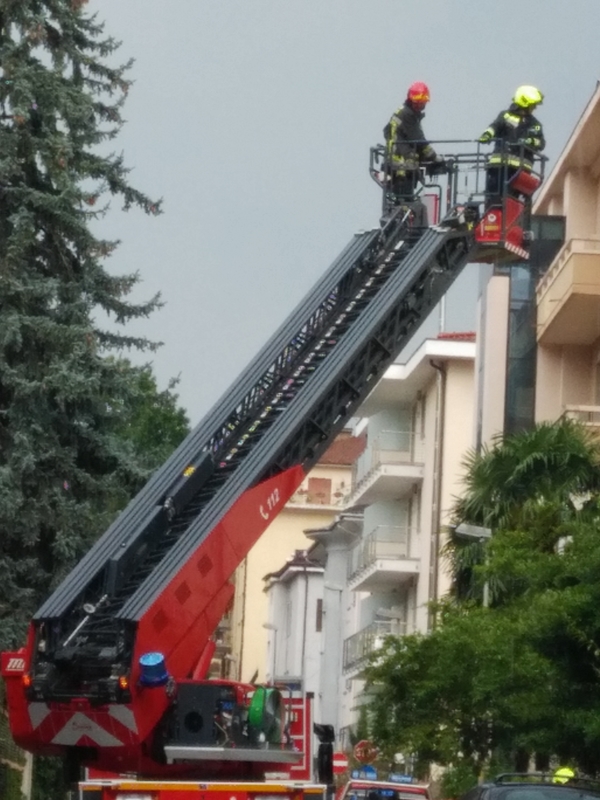 Webp.net resizeimage 10