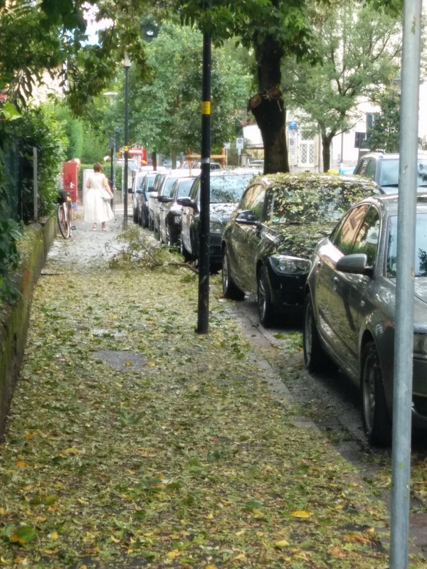 Webp.net resizeimage 2