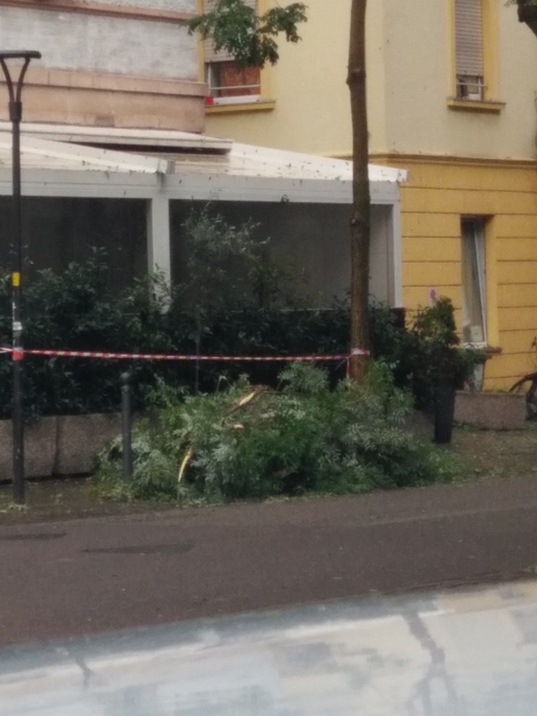 Webp.net resizeimage 4