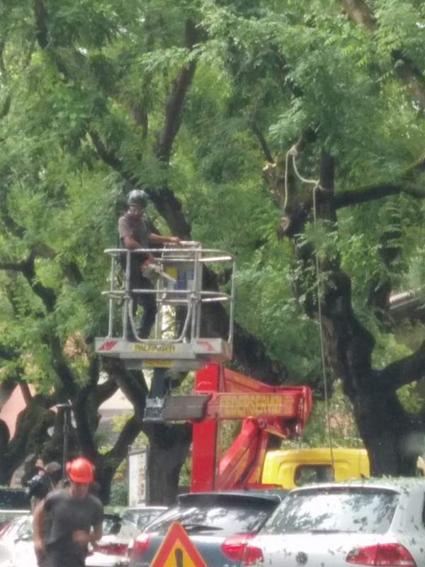 Webp.net resizeimage 5