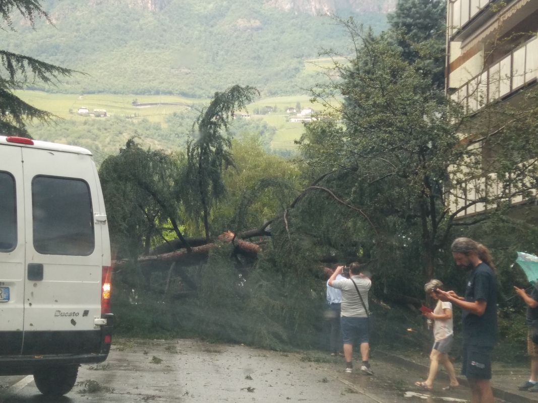 Webp.net resizeimage 7