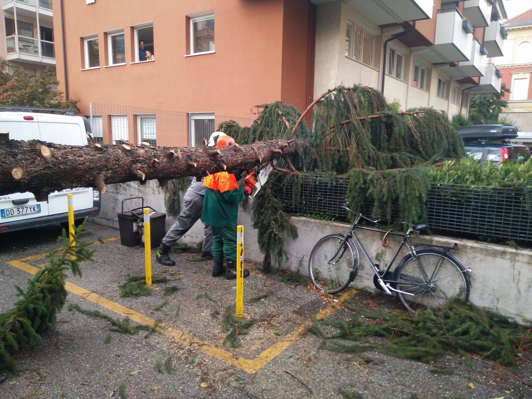 Webp.net resizeimage 8