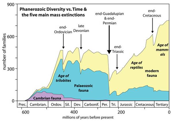 Relazione tra diversità ed estinzioni di massa