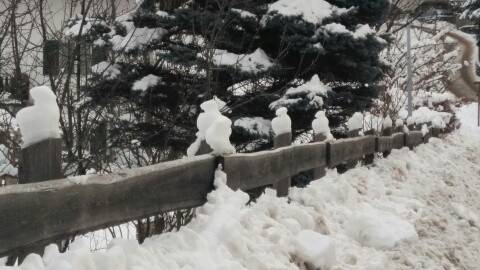 E' arrivata la neve ... tanta! Ecco ad esempio i guai che ha provocato nella zona di Fi&egrave;.