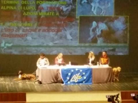 &ldquo;La coesistenza tra uomo e lupo sulle Alpi e in Europa&rdquo;: un convegno internazionale a Trento